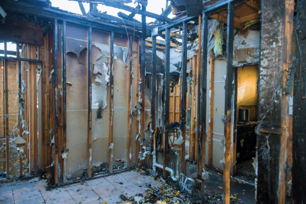 Professional Fire Damage Assessment technician working in Cullman, AL